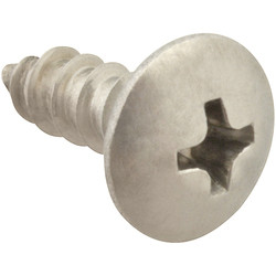 AllPoints 6120808 SCREW; SM/TH/SS 100;