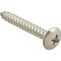 AllPoints 6120616 SCREW; SM/TH/SS 100;