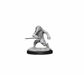 WizKids WZK73840 D&D: NMU: Kenku Adventures W10
