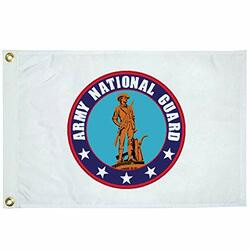 TAYLOR 5620 FLAG ARMY 12X18