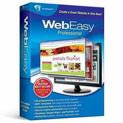 AVANQUEST NORTH AMERICA INC 10093-E9 WHY CHOOSE WEBEASY PROFESSIONAL 10  BECAUSE YOU CAN BUILD A GREAT WEBSITE IN JUS