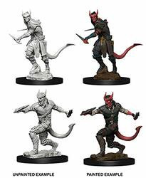 WizKids WZK73338 D&D: NMU: Tiefling Male Rogue W5