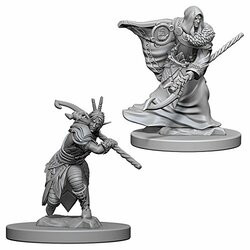 WizKids WZK72641 D&D: NMU: Elf Male Druid W4