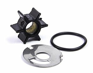 SIERRA 183239 WATER PUMP KIT MC47-89981T 1