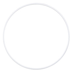Hoshizaki 8015906 RING;