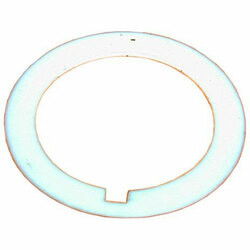 Waring/Qualheim 321142 PTFE WASHER;