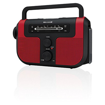 DPI WR383R WEATHERX AM/FM LED FLASHLIGHT WEATHEBAND LED LANTERN/SIREN