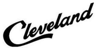 CLEVELAND F16020 SILICONE DOOR GASKET 80