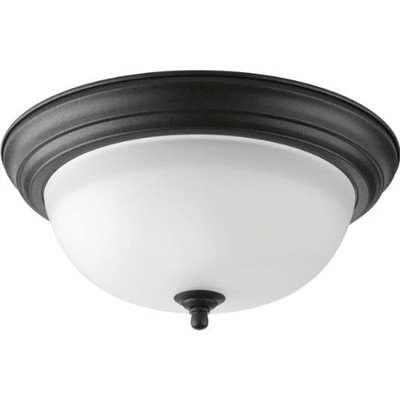 Progress Lighting 94392580 P3925-80 2-Light Flush Mount with Etched Glass Bowl