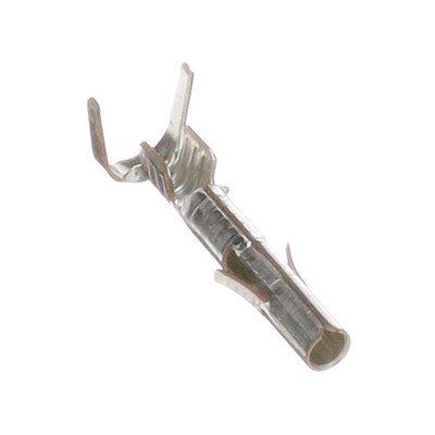 AllPoints 951923 TERMINALS;