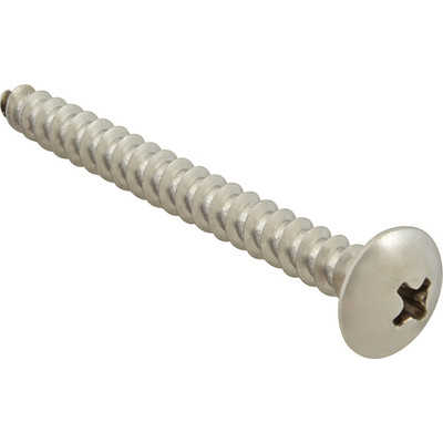 SCREW; SM/TH/SS (100);