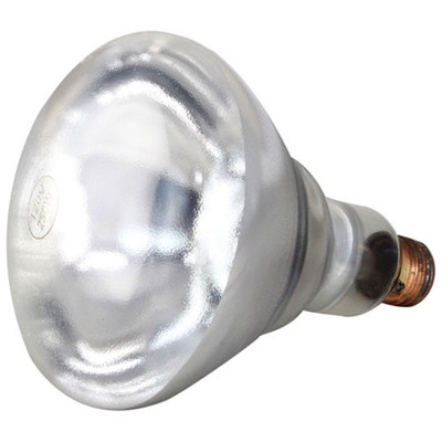 INFRA-RED LAMP (PK 12);(CLEAR) 120V; 250W