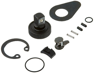 APEX TOOL GROUP GWR81099F RATCHET 1/4 DR  84-Tooth Repair Kit