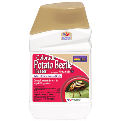 CO POTATO BEETLE 16OZ