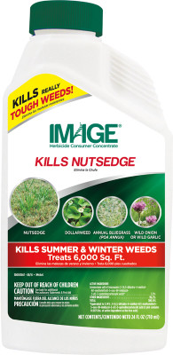 IMAGE CONCENTRATE 24 OZ