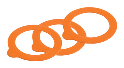 RUBBER REPLC SEAL REG6PK