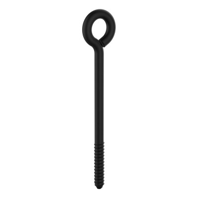 LAG SCREW EYE 6L STEEL