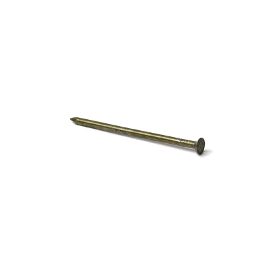 NAIL SNK 10DX2.875 1#