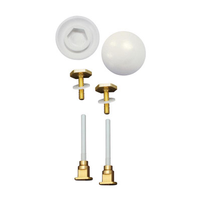 TOILET BOLT&CAPS  2PK