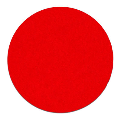 DRY ROS DISC 80G C 25PK