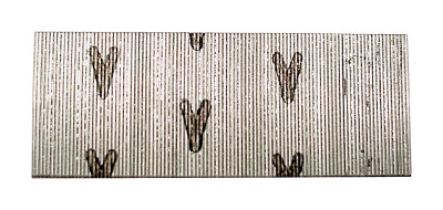 STRIP PIN 1"X23G GALV