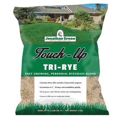TOUCH UP GRASS SEED 7#