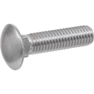 BOLT CARRAG5/16X5" SS