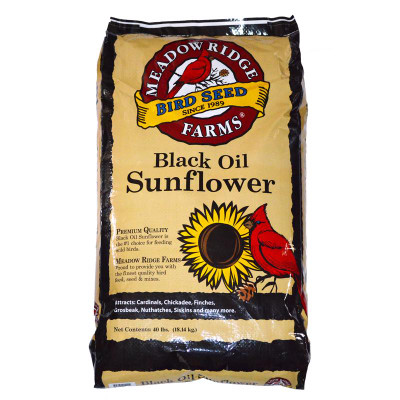 BIRD SEED BLK OIL SNFLW