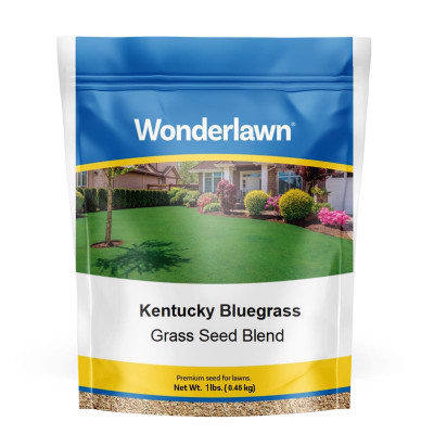 GRASS SEED BLND KBG1#