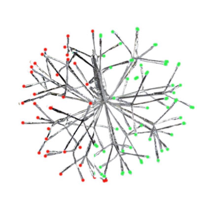 HNG DCR SHMRN GRN/RD 16"