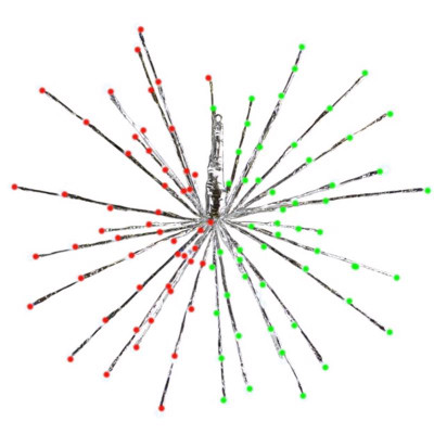 PTHW DCR RDNT GRN/RD 16"