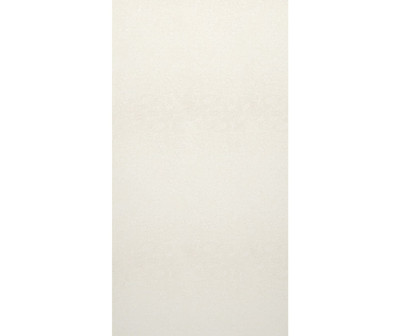 Swanstone SMMK-7242-1 42 x 72 Smooth Glue-Up Bathtub Shower Wall Panel Tahiti White