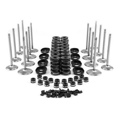 Speedmaster Ford 429 460 Head Build Kit Hydraulic Roller Tappet 1-250-028-01