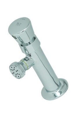 T&S Brass TB0800 Metering Faucet with Single Temperature, 1/2-Inch Npt Female Inlet and Rose Spray