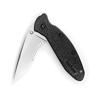 Kershaw KER1620ST Scallion Serrated (1620ST), EDC Folding Pocketknife, 2.4-Inch 420HC Steel Blade, Bead-Blasted Finish, Textured Glass-Filled Nylon Handle, SpeedSafe Assisted Opening, Dual Blade Lock, Single-Position Pocketclip, 2.3 OZ.