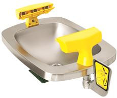 SPEAKMAN SX-0280032 Select Series Eye And Face Wash Wall Mount System with Stainless Steel Bowl