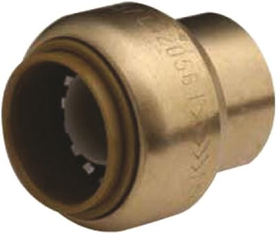 CASH ACME 421329LF PROPLUS 262055 Spring Check Valve Pvc 1-1/4" Fip