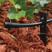 RAIN BIRD 2467415 TS25/10PS Drip Irrigation 1/4" Tubing Stake with Bug Cap Diffuser and Locking Cap, 10-Pack