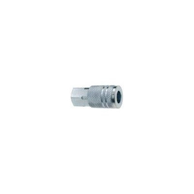 Amflo AMFC21B 0.25 Brass Coupler Nptm, Steel Valve [Set of 2].