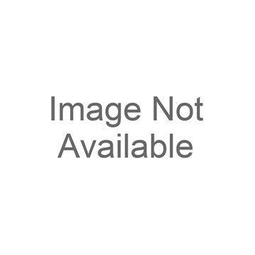 Robinair ROB48111 Replacement Feet and Mounting Screws