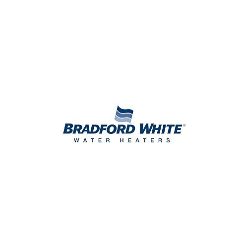 Bradford White 223-34019-00 BDW Element Gasket