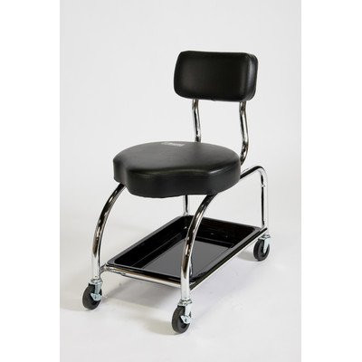 LDS Industries LDS-3010001 Creeper Seat with Backrest LDS.
