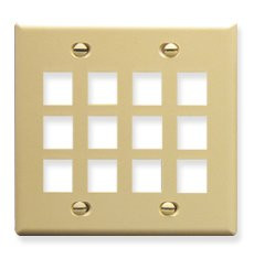 ICC IC107F12-IV DOUBLE GANG/12 PORT - IVORY.