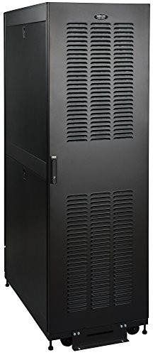 Tripp Lite SR42UBEIS 42U Rack Enclosure Server Cabinet for Harsh Environments, NEMA 12 (IP54), Standard-Depth ().