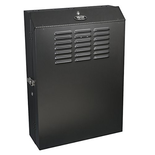 Tripp Lite SRWF5U36 5U Vertical Wall-Mount Rack Enclosure Cabinet, Low-Profile, Server Depth, 36" Deep ().