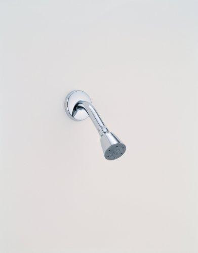 Delta RP28599 Faucet Push-Clean TM Showerhead, Chrome