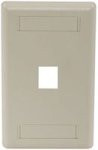 HUBBELL IFP11EIHubbell 1 Port Rear Loading Single Gang Faceplate, Electric Ivory