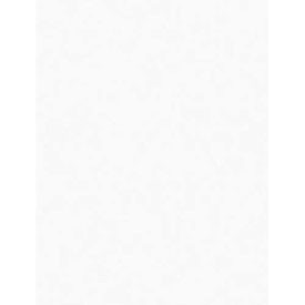 3M B1773479 263X Lapping Film Sheet 60 - 8 1/2 in Width x 11 in Length - 81338 [PRICE is per CASE]