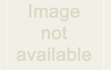 Delta 81T231BTA-MMO Commercial 81TBT / 81THW Electronic Urinal Flush Valve - Manual Mechanical Override 139905