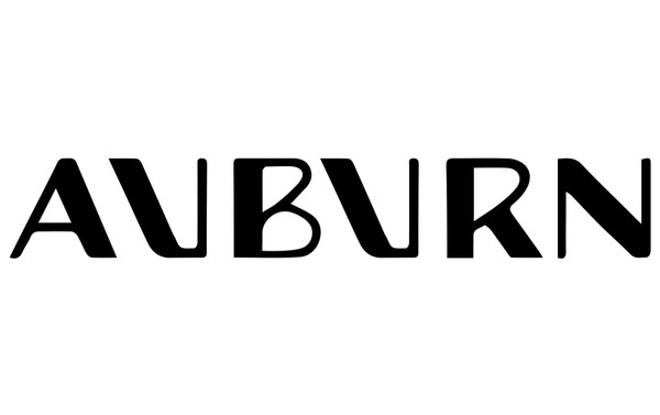 Auburn E5-I-64-1 "IGNITOR 1/2""NPT SIDE WIRE" "IGNITOR 1/2""NPT SIDE WIRE"